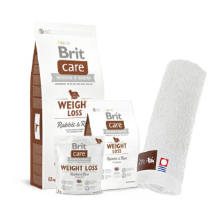 �y���������z�u���b�g Brit �P�A �E�G�C�g���X 12kg �y�����n���h�^�I���v���[���g�z�y�^�I���J���[ �z���C�g�z