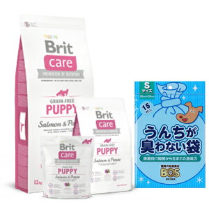 yzubg Brit PA OCt[ ps[ 12kg yBOS񂿂LȂ܃v[gz