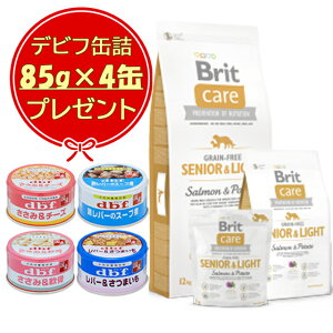 yzubg Brit PA OCt[ VjACg 12kg yfrt85gʋl 4ʃv[gz