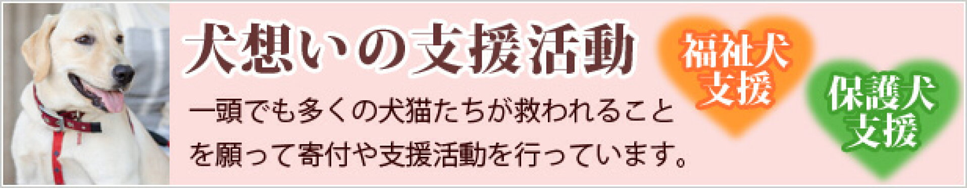 犬想いの支援活動