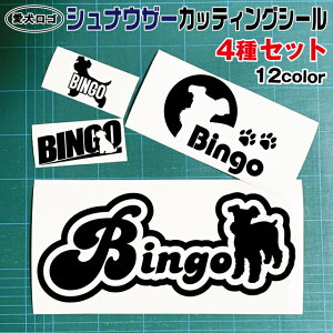 ViEU[ JbeBO V[ 4Zbg VGbg ~jVi IWi hbO JbeBOV[g XebJ[ Mtg ybg O   X}z   CkXL  I[_