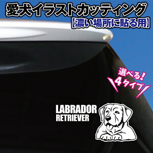 uh[go[ CXg JbeBOV[ Iׂ4fUC yZꏊpzIWi hbO JbeBOV[g JbeBOXebJ[ ybg O   KX 