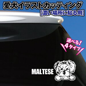 }`[Y CXg JbeBOV[ Iׂ4fUC yZꏊpzIWi hbO JbeBOV[g JbeBOXebJ[ ybg O   KX X[N  