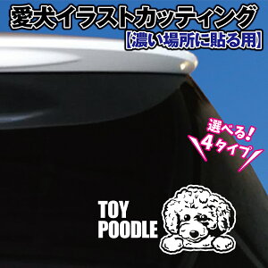 gCv[h CXg JbeBOV[ Iׂ4fUC yZꏊpzIWi hbO JbeBOV[g JbeBOXebJ[ ybg O   KX X[N  