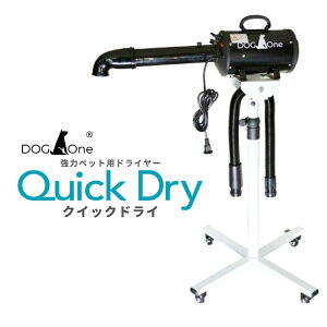 y|Cg10{! 11/1 0:00 `11/1 23:59܂ŁzDOGOne ybghC[ NCbNhC pnC^CvX^h&mYZbg ^ ^ ^ Ɩp 啗 3iKx iK