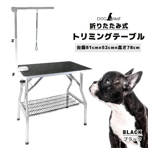 y|Cg5{! 12/1 00:00 ` 12/1 23:59܂Łzg~Oe[u ܂肽 g~O A[t ^ ^ i 81cm x 52cmj  yFT-3z