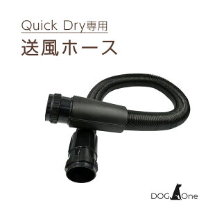 z[X Cp[c hC[p[c Ɩp  Quick Dry NCbNhCp ֕z[X Ci