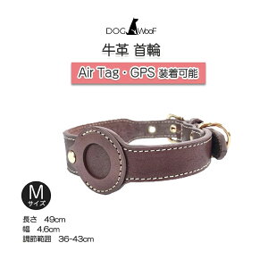 h~^O   ybgp P[X qh~ یJo[ 36-43cm  MTCY {v v