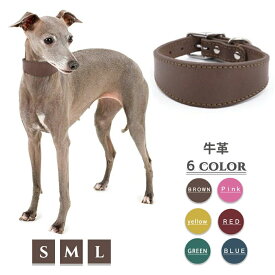 首輪 イタグレ ミニピン ウィペット サルーキ 専用首輪 牛革 本革 フルグレインレザー (Sサイズ 長さ35cm 幅4cm 調節範囲25-30cm / Mサイズ 長さ40cm 幅5cm 調節範囲28-35cm / Lサイズ 長さ48cm 幅6cm 調節範囲35-43cm) (ブラウン/ピンク/イエロー/レッド/ブルー/グリーン)