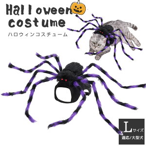 p nEBRX`[ w ubN×p[v EȒP ߉\ ^`^