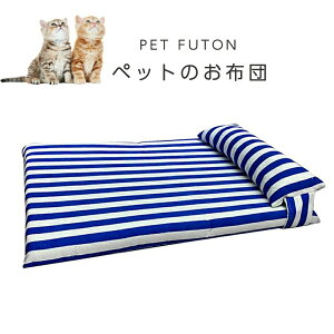  L zc }bgX ⊴n ybgp  XgCv ڐG⊴n N[zc Q zc Ђf