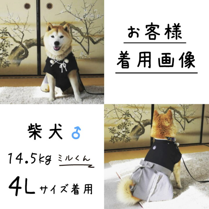小中型犬用 はかま 若君 年賀状に 犬 袴 和服 記念撮影 着物 6号 ５ ６号 結婚式 お正月 わかぎみ 小型犬 5号 ウェディング 中型犬 犬用