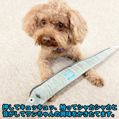 犬・おもちゃ・ぬいぐるみ・魚・タチウオ