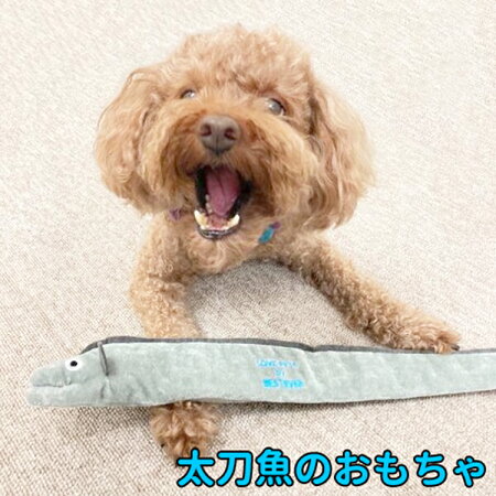 犬・おもちゃ・ぬいぐるみ・魚・タチウオ