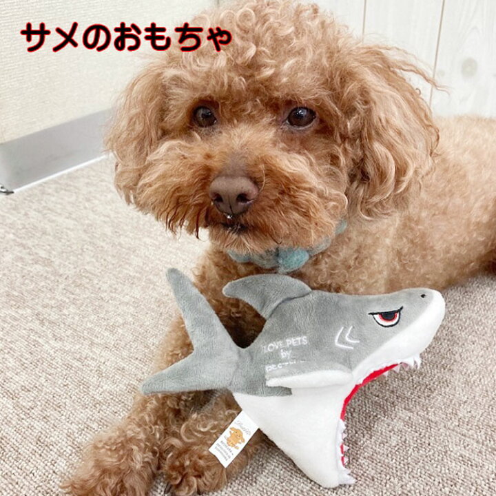 楽天市場 あす楽 犬 おもちゃ サメ ぬいぐるみ 魚 さめ シャーク ペットトイ 音が鳴る 小型犬 猫 ストレス発散 運動不足 Sns お誕生日 ギフト プレゼント 犬屋 ベストエバー お祝い ホワイトデー バレンタインデー 新商品 犬屋楽天市場店