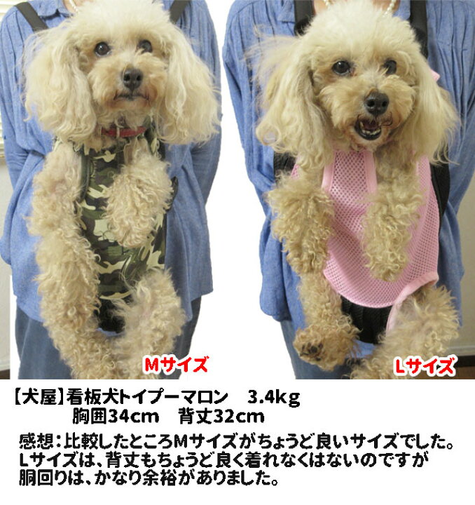 水玉 スリング Dog Lemi だっこひも ショルダー メッシュ 夏 小型犬 抱っこひも 春 犬 犬屋 本日限定 だっこひも