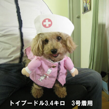 楽天市場 犬服 コスプレ なりきり ドクター Or ナース 2足歩行 変身 仮装 小型犬 ダックス トイプードル チワワ ポメラニアン ハロウィン バラエティー ペット グッズ ペット 洋服 おしゃれ 送料無料 犬屋楽天市場店