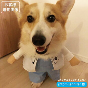 楽天市場 犬服 コスプレ なりきり ドクター Or ナース 2足歩行 変身 仮装 小型犬 ダックス トイプードル チワワ ポメラニアン ハロウィン バラエティー ペット グッズ ペット 洋服 犬屋楽天市場店