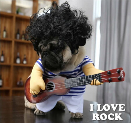 楽天市場 犬服 ギター コスプレ コスチューム 2足歩行 変身 小型犬 ハロウィン バラエティー グッズ 衣装 仮装 着ぐるみ トイプードル ミニチュアシュナウザー コーギー 柴犬 フレブル コッカー パグ ペット 洋服 おしゃれ 送料無料 犬屋楽天市場店