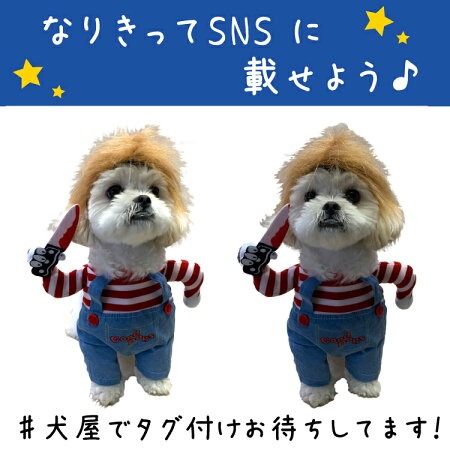 送料無料 犬猫コスチューム チャッキー チャイルドプレイ ペット用 犬用 百貨店 コスプレ コスチューム 衣装 ハロウィン 犬服 犬の服 Cw 200716 27 犬仮装 犬コスチューム 犬cos ドッグウェア ワンちゃん仮装 犬ウェア ペットウエア ペット服 犬コスプレ 犬服専門店