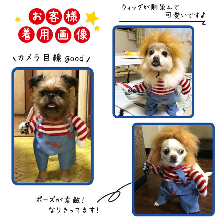 楽天市場 Spz キラー人形 犬服 なりきり コスチューム コスプレ 2足歩行 変身 小型犬 中型犬 ホラー 怖い ハロウィン バラエティー グッズ 衣装 仮装 着ぐるみ 柴犬 コーギー フレンチブルドッグ フレブル トイプードル パグ など チャッキー ペット 洋服