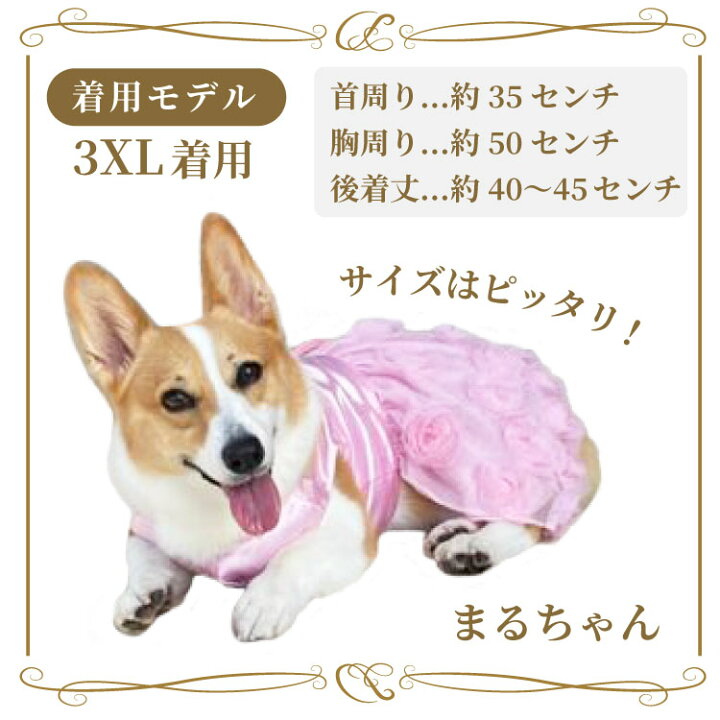 楽天市場 Spz 犬服 ワンピース ドレス パール ピンク のみ フリル フリフリ ボタン 中型犬 大型犬 春 夏 女の子 リボン お花 レース 結婚式 パーティー フォーマル キャバリア コッカー コッカースパニエル ペット 洋服 楽天市場 Spz 犬服 ワンピース ドレス パール ピンク のみ フリル フリフリ ボタン 中型犬 大型犬 春 夏 女の子 リボン お花 レース 結婚式 パーティー フォーマル キャバリア コッカー コッカースパニエル ペット 洋服