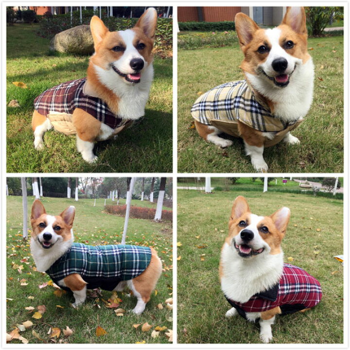 楽天市場】犬 犬服 冬服 【 リバーシブル チェック柄 コート 】 暖かい 小型犬 中型犬用 防寒 ジャケット コート ブルゾン ベストダウン 風 ペット 洋服 ドッグウェア【 フレンチブルドッグ happier チワワ マルチーズ トイプードル パグ シュナウザーなど 】 おしゃれ ... 楽天市場】犬 犬服 冬服 【 リバーシブル チェック柄 コート 】 暖かい 小型犬 中型犬用 防寒 ジャケット コート ブルゾン ベストダウン 風 ペット 洋服 ドッグウェア【 フレンチブルドッグ happier チワワ マルチーズ トイプードル パグ シュナウザーなど 】 おしゃれ ...