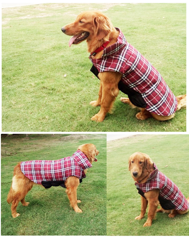 楽天市場犬 犬服 冬服  リバーシブル チェック柄 コート  中型犬