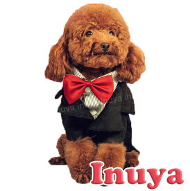 楽天市場 ドレス フォーマル 適正犬種ダックスフンド ドッグウェア 犬用品 ペット ペットグッズの通販
