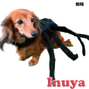   RX`[ w yXpC_[z ^ ObY oGeB[i nEB ybg m ̕ ybg