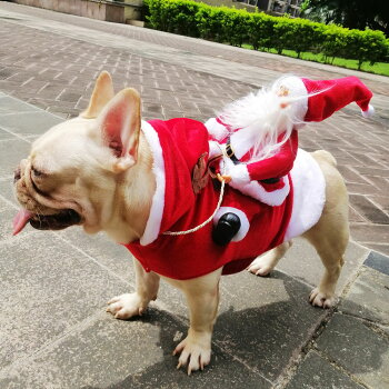楽天市場 サンタ ロデオ 犬 服 フリース ふわふわ トナカイ クリスマス コスプレ 秋 冬 中型犬 猫服 グッズ 暖か パーティー お出かけ服 サンタクロース ペット 洋服 犬屋楽天市場店