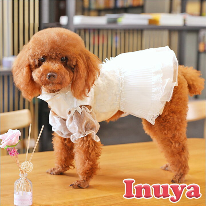 楽天市場 犬服 シースルー ホワイト ドレス ワンピース かわいい フリル フリフリ 小型犬 春 夏 女の子 お花 レース 結婚式 パーティー フォーマルセール チワワ ヨーキー トイプードル マルチーズ ダックスフンド シュナウザーなど ペット 洋服 Hoopet 楽天市場 犬服 シースルー ホワイト ドレス ワンピース かわいい フリル フリフリ 小型犬 春 夏 女の子 お花 レース 結婚式 パーティー フォーマルセール チワワ ヨーキー トイプードル マルチーズ ダックスフンド シュナウザーなど ペット 洋服 Hoopet