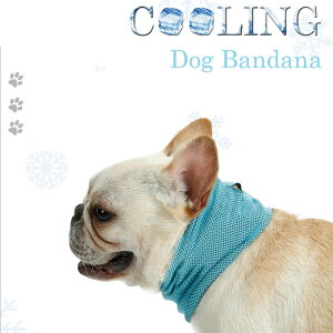 T[rXyG炷 Ђ N[ ybg lbNN[[ z   ^ ^ CM p ΍ doglemi  M \h