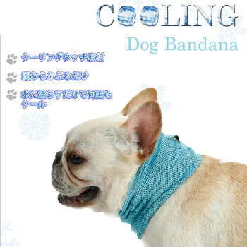 楽天市場 クーリングドッグバンダナ ブルー 犬 服 春夏 小型犬 ひんやり クール 気化熱 冷却 暑さ対策 Doglemi 犬屋 犬屋楽天市場店
