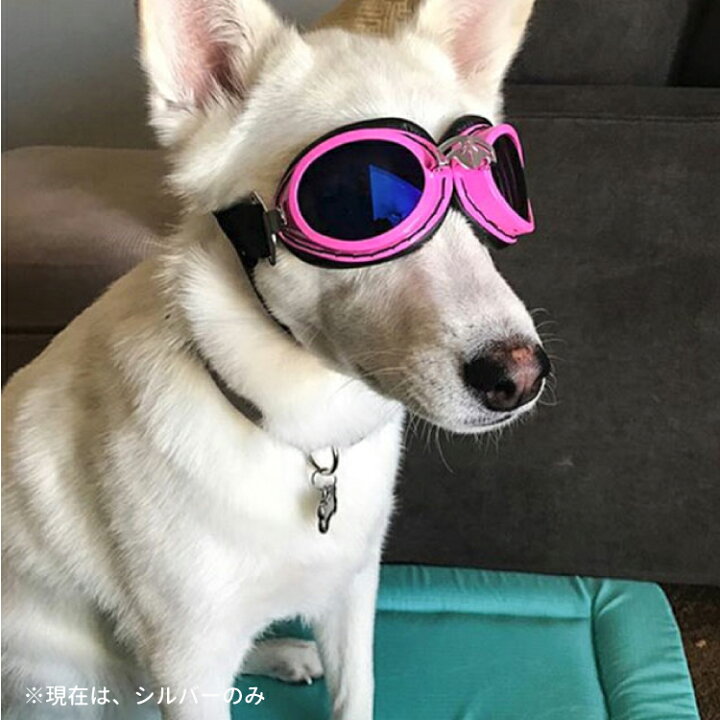 楽天市場 あす楽 Pet Leso Uvカット ゴーグル 本体 シルバー レンズ ブルー アクセサリー 中型犬 大型犬用 夏 冬 サングラス 犬屋 犬屋楽天市場店 楽天市場 あす楽 Pet Leso Uvカット ゴーグル 本体 シルバー レンズ ブルー アクセサリー 中型犬 大型犬用 夏 冬 サングラス 犬屋 犬屋楽天市場店