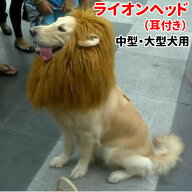 犬 ライオン ウィッグ キャップ カツラ 帽子 大型犬 コスプレ コスチューム ハロウィン グッズ