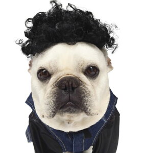 p ObY Jc  EBbO j̎qp Lbv Xqϐg Ԃ