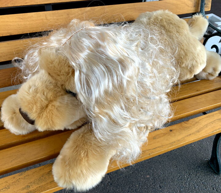 楽天市場 犬猫用 カツラ かつら ウィッグ 女の子用 金髪 キャップ 帽子変身 かぶりもの ヘアアクセサリー 犬屋 犬屋楽天市場店