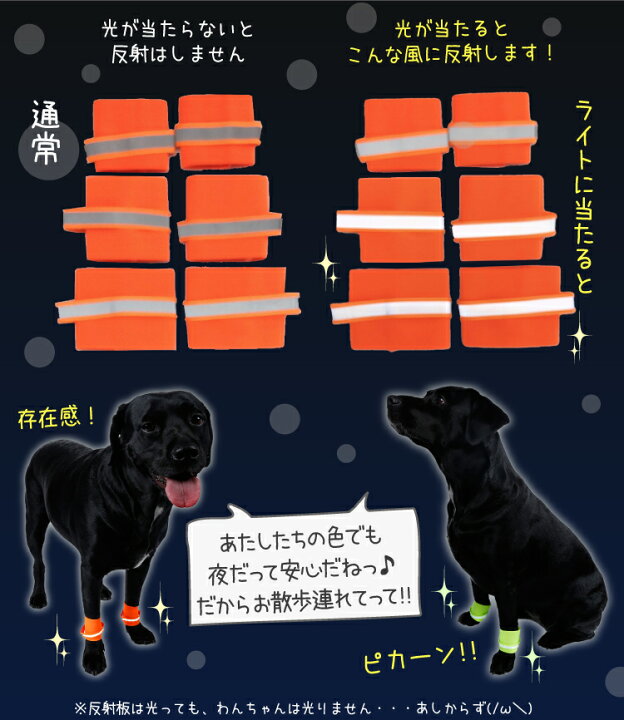 楽天市場 犬用 反射材付き リストバンド 犬用品 お散歩用 蛍光カラー 前足 ゴムバンド 反射テープ Dodlemi 中型犬 大型犬 犬屋楽天市場店