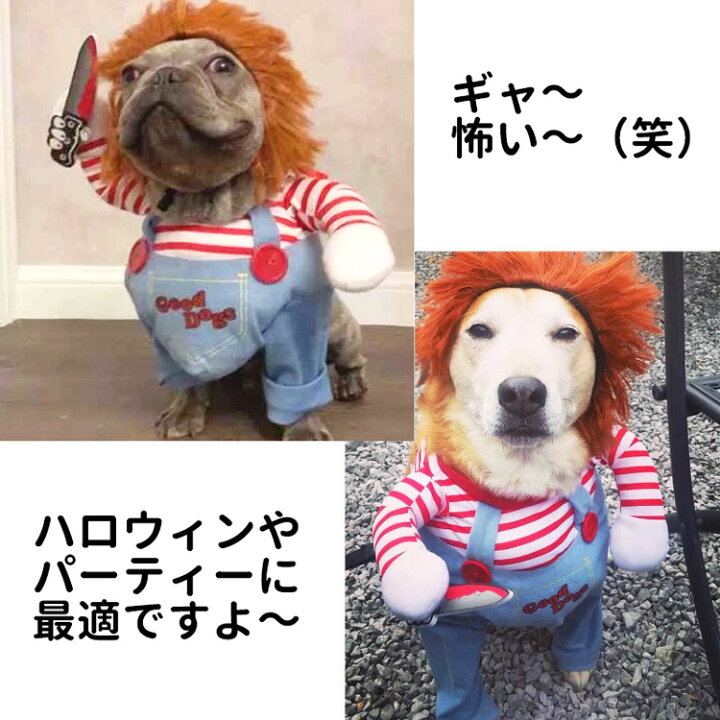 楽天市場 Spz キラー人形 犬服 なりきり コスチューム 中大型犬用 コスプレ 2足歩行 変身 小型犬 中型犬 ホラー 怖い ハロウィン バラエティー グッズ 衣装 仮装 着ぐるみ 柴犬 コーギー フレンチブルドッグ フレブル トイプードル パグ チャッキー ペット 洋服 Ss