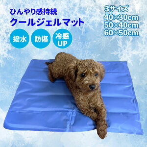 ybg N[ ACX pbh WF }bg 3TCY  ėpi p pbh L p NbV p h