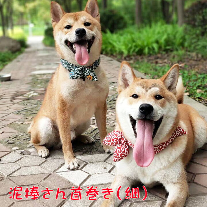 楽天市場 泥棒さん首巻き 細いタイプ Ch 唐草模様 唐草レッド 犬 猫 柴犬 小型犬 中型犬 和 アクセサリー からくさ バンダナ 豆しば 首輪 おしゃれ 可愛い 犬屋楽天市場店