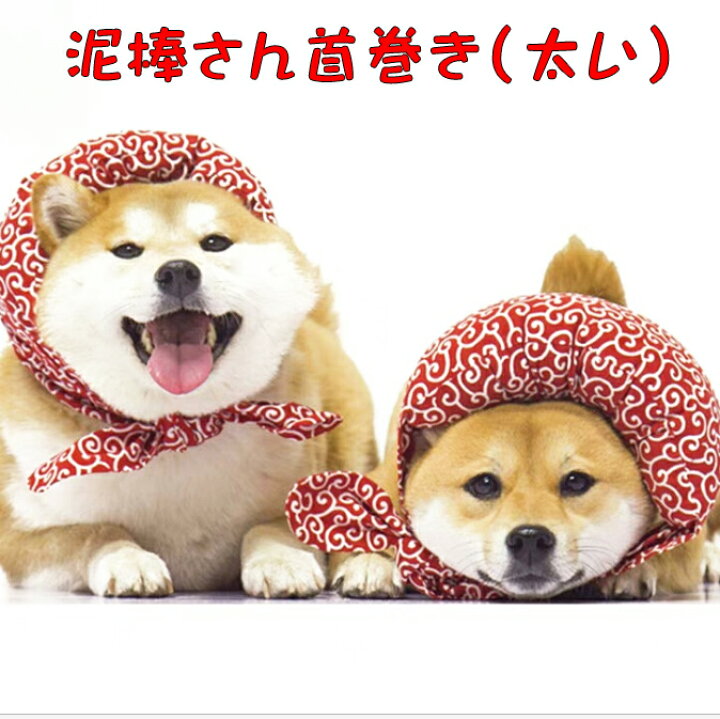 楽天市場 アウトレット 泥棒さん首巻き 極太 Ch 唐草模様 唐草レッド クッション 犬 猫 柴犬 小型犬 中型犬 和 アクセサリー からくさ バンダナ 豆しば 首輪 おしゃれ 可愛い 風呂敷 犬屋楽天市場店