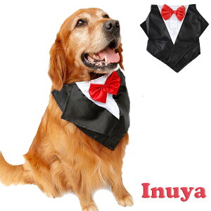 �y�h�b�O �^�L�V�[�h �o���_�i�z ���l�N�^�C �X�J�[�t �l�N�^�C �`���[�J�[ �����^�b�` ���� �� �^�L�V�[�h �t�H�[�}�� ���{�� ��� ������ ���^�� ��^�� �y�b�g ���j�� �p�[�e�B�[ �L�O ��