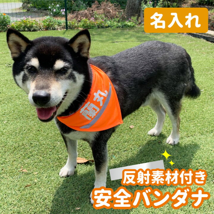 楽天市場 名前入れ 安全 バンダナ 反射素材 ワンタッチ 調節可 犬 小型犬 中型犬 大型犬 ペット 散歩 お出掛け 犬屋 新商品 犬 屋楽天市場店