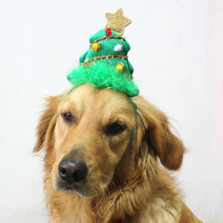 人気沸騰ブラドン BESTOYARD ペットクリスマス帽子猫犬トナカイとanlterキャップバンド小動物帽子パーティー帽子ペットのためのクリスマスパーティーの好意