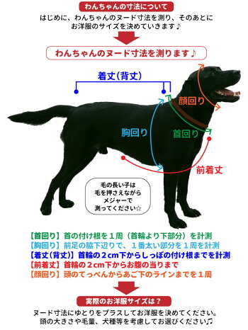 楽天市場 キラー人形 犬服 なりきり チャッキー コスチューム コスプレ 2足歩行 変身 小型犬 中型犬 ホラー 怖い ハロウィン バラエティー グッズ 衣装 仮装 着ぐるみ セール 犬屋楽天市場店