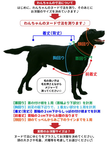 楽天市場 キラー人形 犬服 なりきり チャッキー コスチューム コスプレ 2足歩行 変身 小型犬 中型犬 ホラー 怖い ハロウィン バラエティー グッズ 衣装 仮装 着ぐるみ 柴犬 コーギー フレンチブルドッグ フレブル トイプードル パグ など ペット 洋服 おしゃれ 犬屋