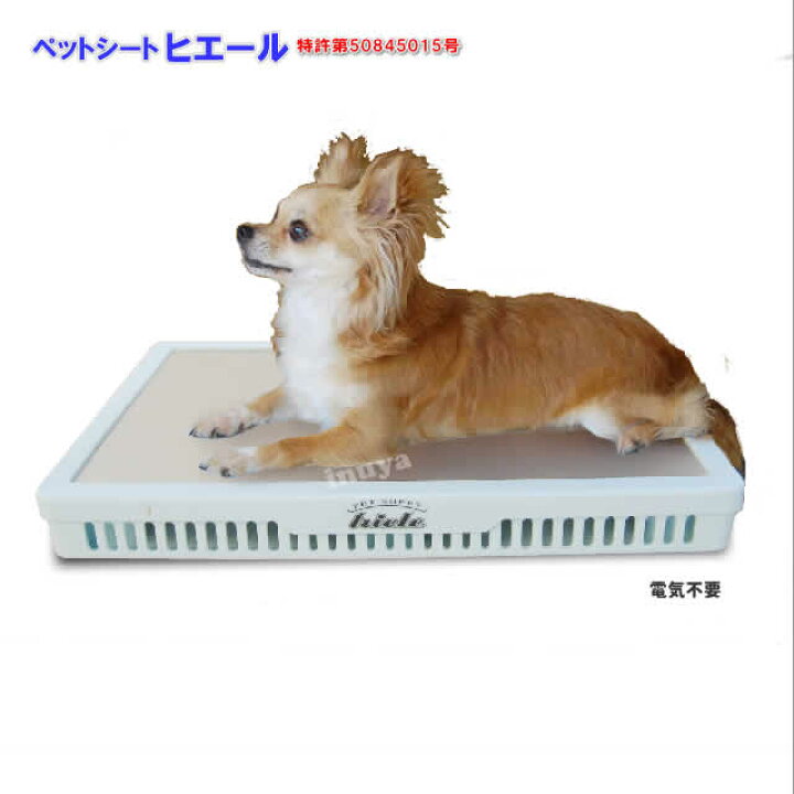 楽天市場 犬 猫 ひんやり マット ヒエール 暑さ対策 気化熱 冷やし電源不要 ペット ベッド 小型犬用品 夏 熱中症 ひえひえ 犬屋 犬 屋楽天市場店 楽天市場 犬 猫 ひんやり マット ヒエール 暑さ対策 気化熱 冷やし電源不要 ペット ベッド 小型犬用品 夏 熱中症 ひえひえ 犬屋 犬 屋楽天市場店