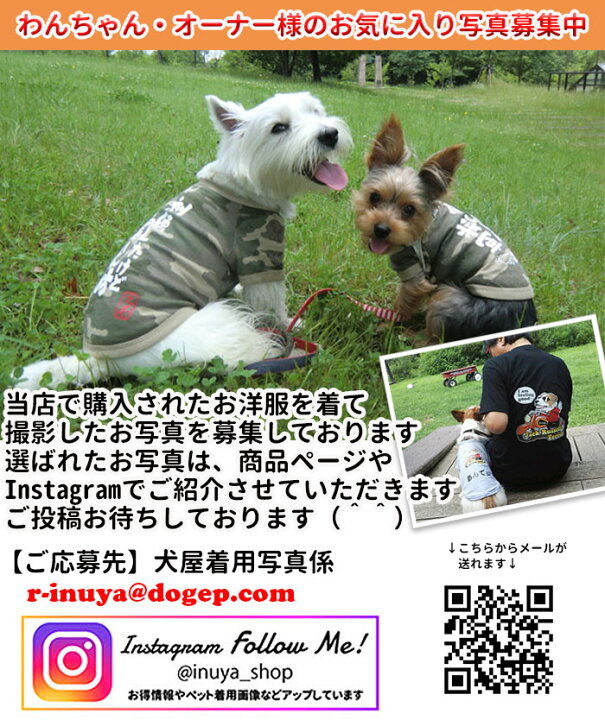 楽天市場 おもしろコメント 犬服 Tシャツ S 2lサイズ 小型犬 犬屋 オリジナル デザイン 春夏 チワワ ヨーキー トイプードル マルチーズ ダックスフンド シュナウザーなど 送料無料 犬屋楽天市場店 楽天市場 おもしろコメント 犬服 Tシャツ S 2lサイズ 小型犬 犬屋 オリジナル デザイン 春夏 チワワ ヨーキー トイプードル マルチーズ ダックスフンド シュナウザーなど 送料無料 犬屋楽天市場店